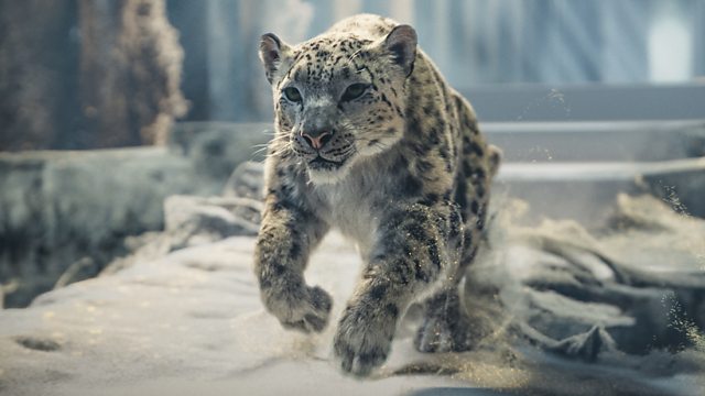 Click to watch 'The Clouded Mountain' (popup) His Dark Materials